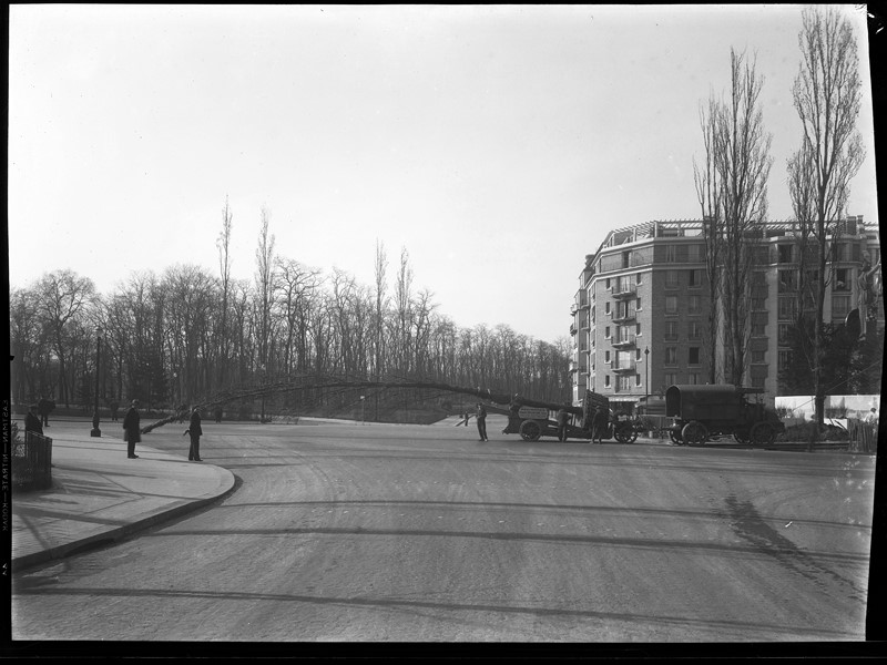 pepinieres defresne vitry Paris Porte dorée