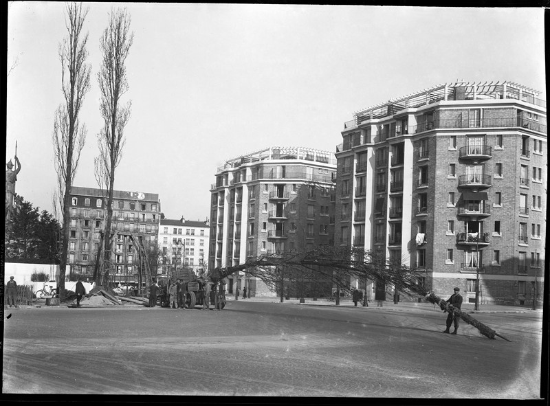 pepinieres defresne vitry Paris Porte dorée