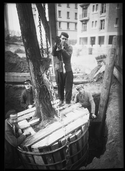 pepinieres defresne vitry Paris Porte dorée