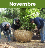 conseils novembre